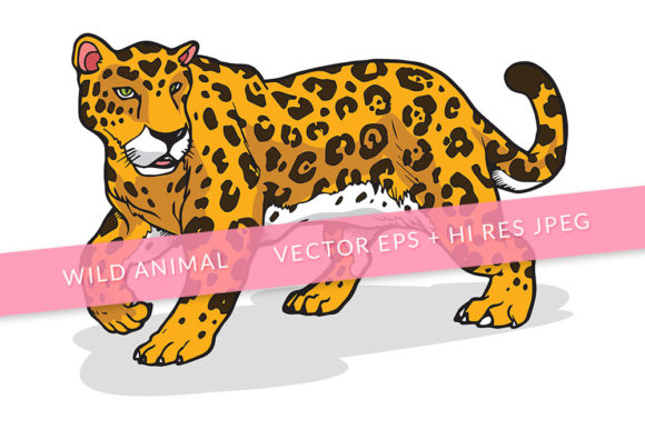 Download Jaguar Animal Illustration - Animal illustration Collection