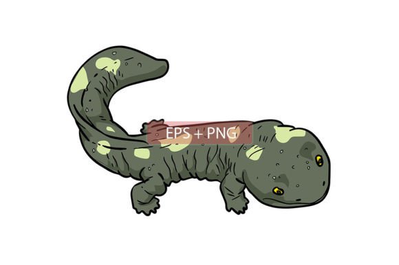 Download Salamander Lizard Animal Illustration - Animal illustration Collection