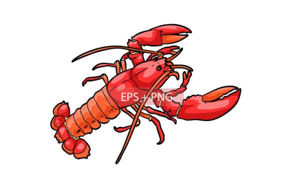 Download Lobster Prawn Sea Animal Illustration - Animal illustration Collection